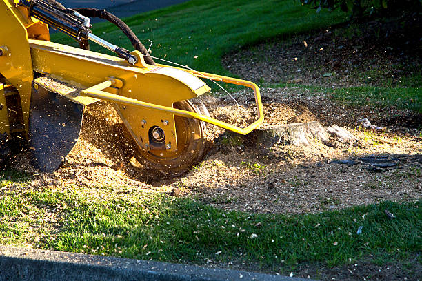 Lawn Edging